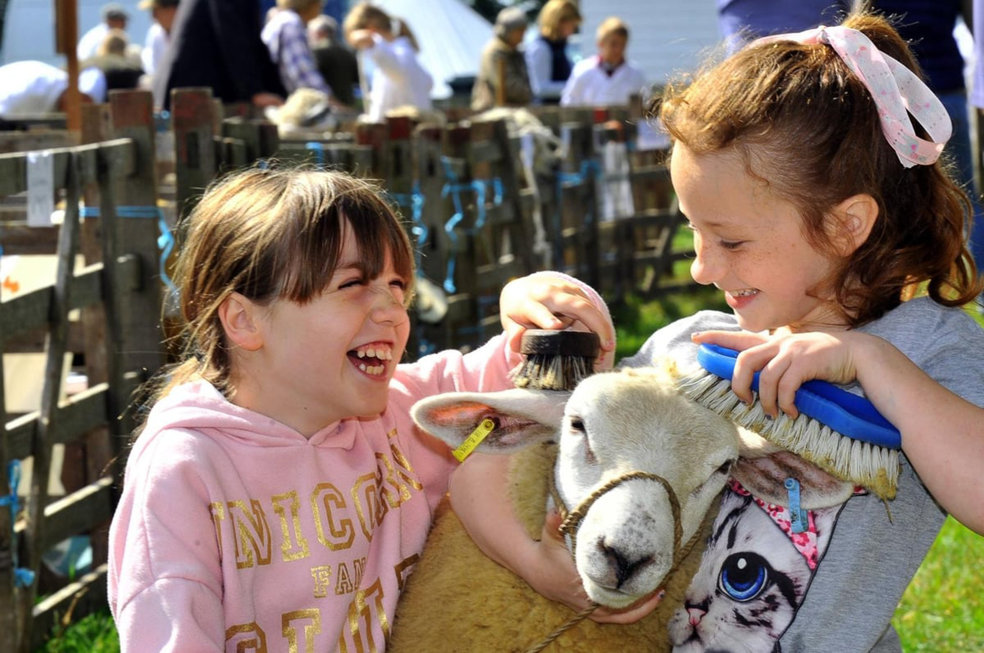 Making Memories at Thornton le Dale Show - Crows Nest Holidays